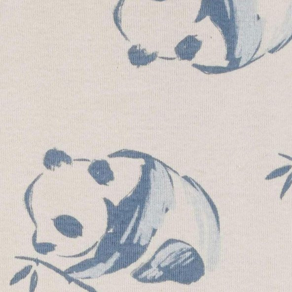 Carters Layette Bebek 5li Body Set 1P566310