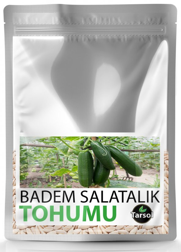 BADEM SALATALIK TOHUMU YÜKSEK VERİM 30 ADET