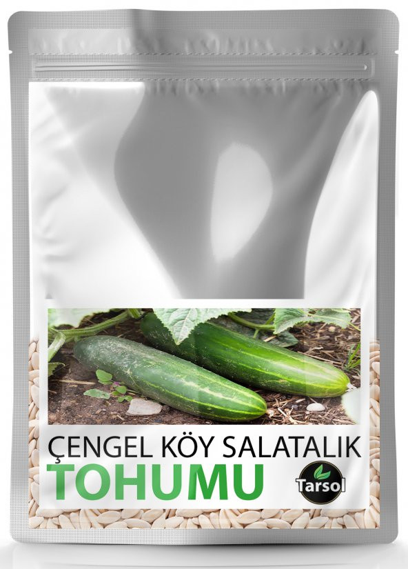 ÇENGEL KÖY SALATALIK TOHUMU YÜKSEK VERİM 30 ADET