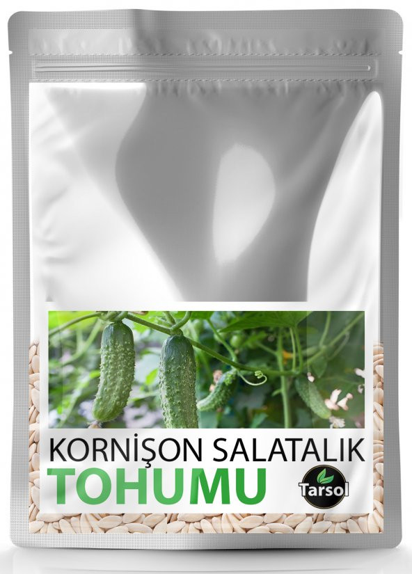 KORNİŞON SALATALIK TOHUMU YÜKSEK VERİM 30 ADET