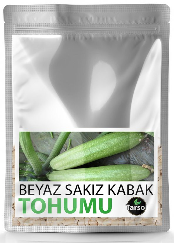 BEYAZ SAKIZ KABAK TOHUMU YÜKSEK VERİM 30 ADET ürün görseli 1