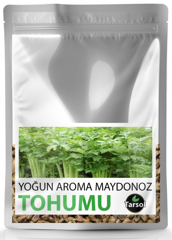 YOĞUN AROMA MAYDONOZ TOHUMU YÜKSEK VERİM 30 ADET