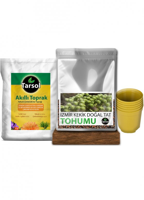 İZMİR KEKİK TOHUMU 30 ADET TOPRAK VE SAKSI SETİ