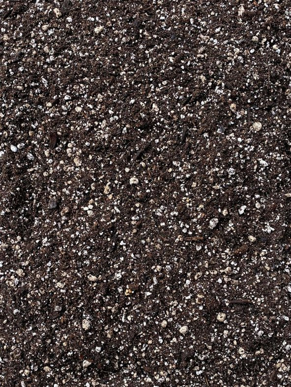 ÖZEL KARIŞIM YÜKSEK KALİTE KAKTÜS VE SUKULENT TOPRAĞI 10 LT - 2