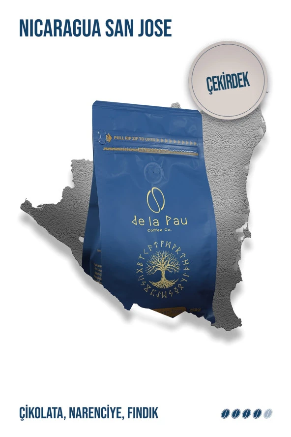 Nicaragua San Jose  Kavrulmuş Paket Çekirdek Kahve 250 GR