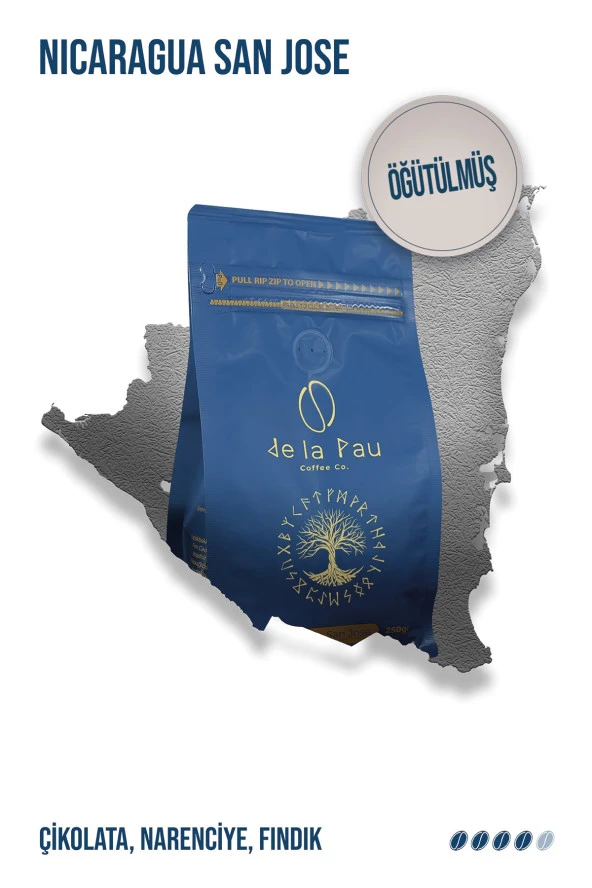 Nicaragua San Jose Öğütülmüş Paket Filtre Kahve 250 GR