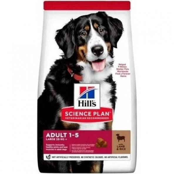 Hills Lamb Rice Kuzu Etli Büyük Irk Yetiskin Köpek Maması 14 Kg