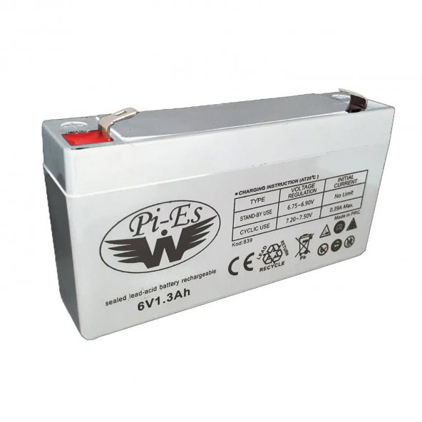 AKÜ 6V 1.3A (9.6X5X2.4CM) BEYAZ UPS WPİES