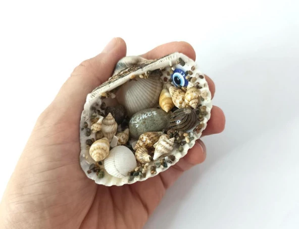 Magnet Deniz Kabuklu Buzdolabı Süsü Nazar Boncuklu Deniz Plaj Magnet