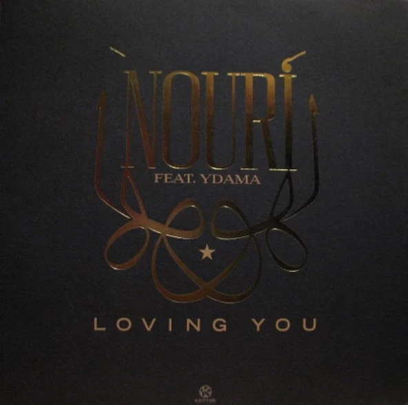 Nouri Rachid  - Loving You Album Synth-pop, Tech House Vinly Plak alithestereo