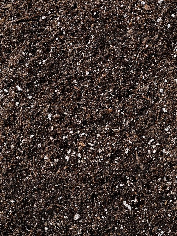 TARSOL TORF KAKTÜS VE SUKULENT TOPRAĞI ÖZEL FORMÜL 5 LT - 2