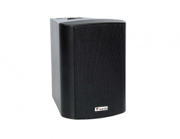 Westa WS-4TB 4" 10 cm 16 Ohm 100 Watt Trafolu Kabin Hoparlör Sağ Sol Takımı Siyah