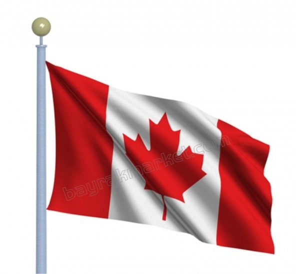 Kanada Devlet Gönder Bayrağı 70x105