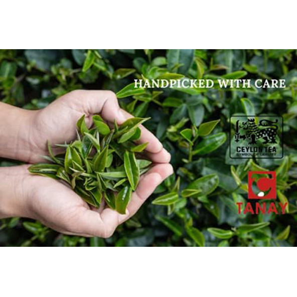 TANAY Ceylon Tea - Seylan Siyah Çay 500gr - 3