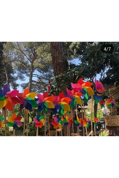 MinervaHomeClothes 7 Kanat Rüzgar Gülü, Gökkuşağı Renkleri, 20 cm, Bahçe Dekorasyonu - 2