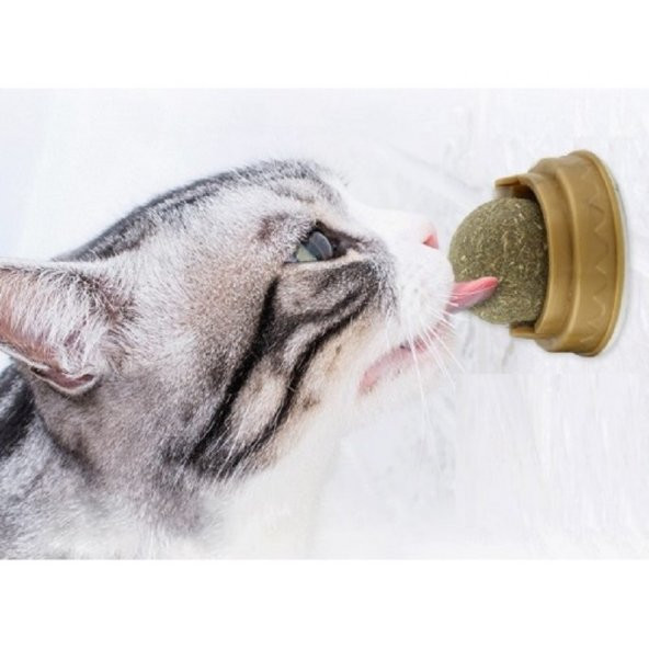 Kedi Nanesi Cat Mint Oyun Topu