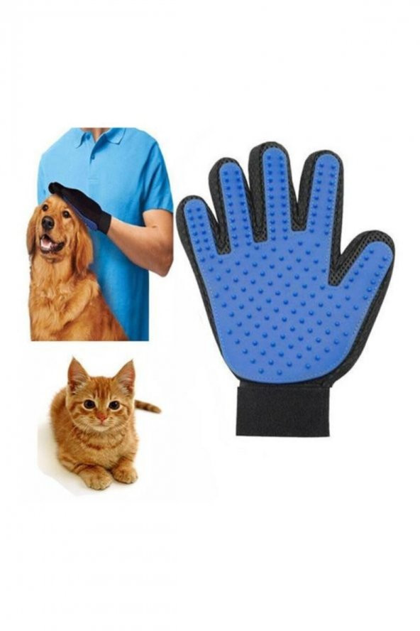 Kedi Eldiveni