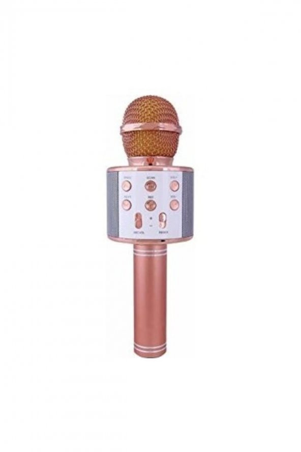 Karaoke Mikrofon Bluetooth, Usb, Hafıza Kartı Ve Aux Girişli