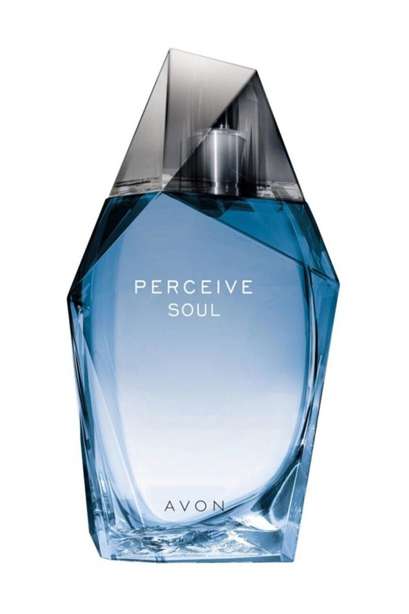 Perceive Soul Edt Erkek Parfümü 100 ml