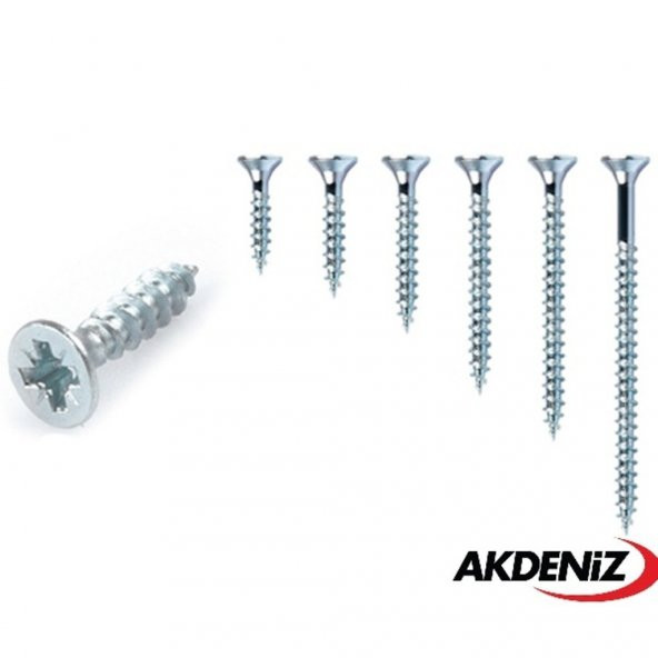 Akdeniz Sunta Vidası 5,0x65 Çinko 10 Paket 2000 Adet