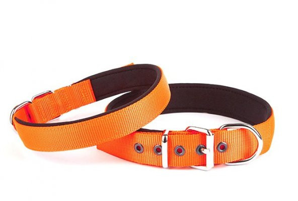 Doggie Konfor Dokuma Boyun Tasması 3x42-50 CM Turuncu