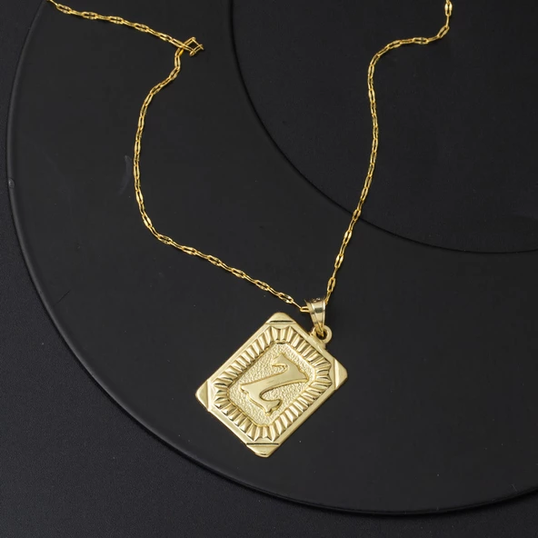 Altın Kare Plakalı Z Harf Kolye 14 Ayar - Resim 4