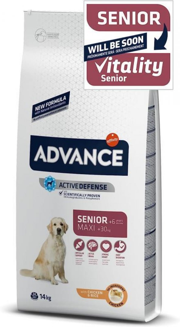 Advance Maxi Senior Tavuklu Büyük Irk Yaşlı Köpek Maması 14 KG