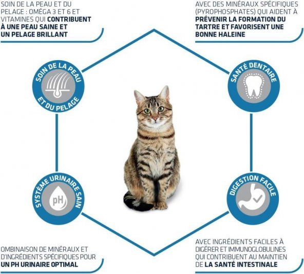 Advance Tavuklu ve Pirinçli Yetişkin Kedi Maması 15 KG - 3