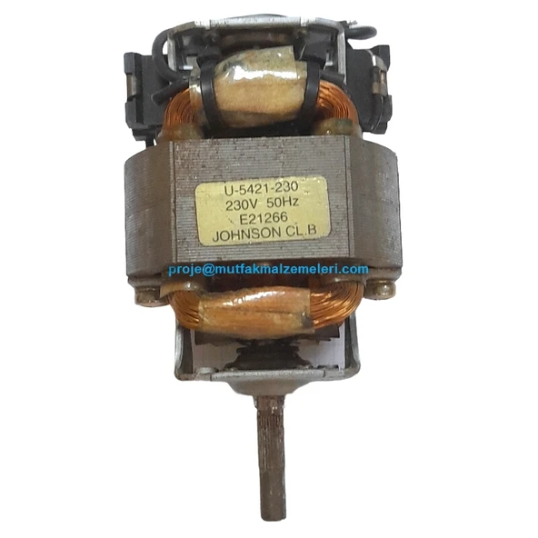 Johnson Elektrik Motoru