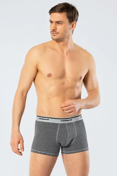 Cacharel Erkek 2li Çizgili Likralı Boxer - 6