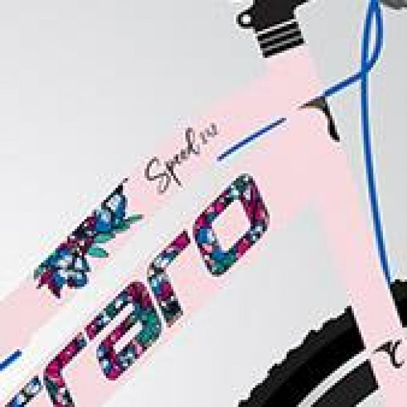 Carraro Speed 242 360H 24"Jant 21 Vites VB Dağ Bisikleti Toz Pembe Fuşya - Resim 2