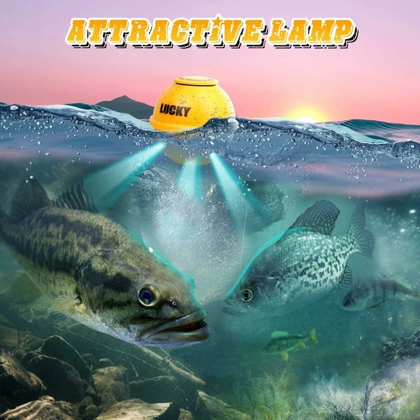 LUCKY Kablosuz El Tipi Balık Bulucular - Kablolu Dönüştürücü - 4