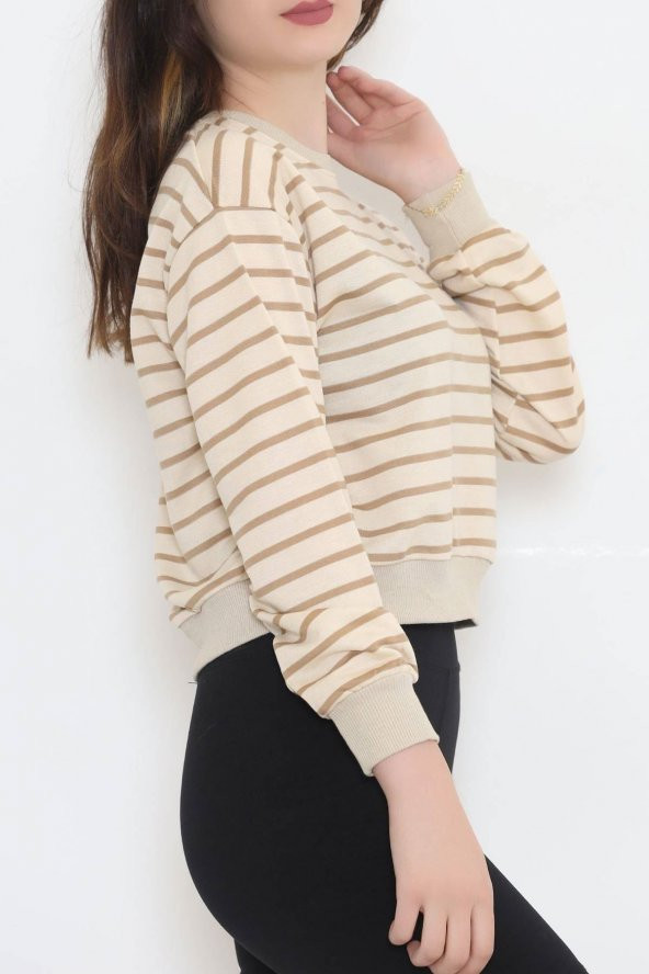 Çizgili Crop Sweat Bejkahve - 11815.1567. - 4