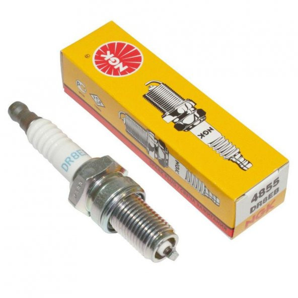 NGK Buji - DR8EB