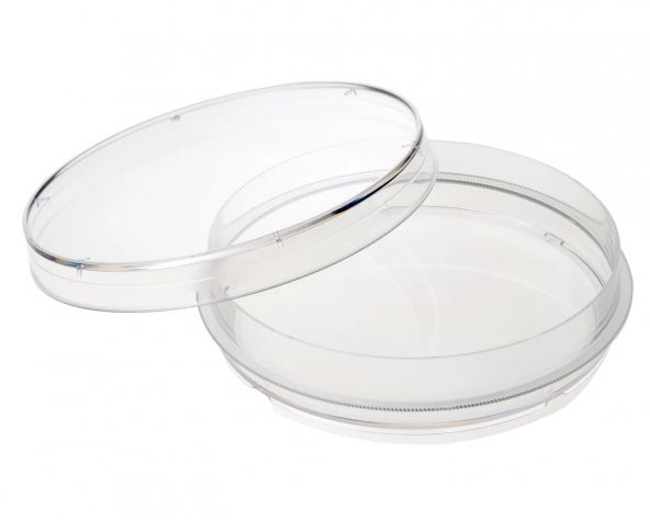 Cam Petri Kabı Kutusu 75 mm - 10 Adetlik Set - Isıya Dayanıklı - 2