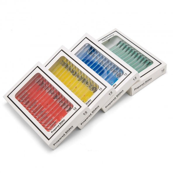 Hazır Mikroskop Preparat Slayt Seti- 48li - Resim 2