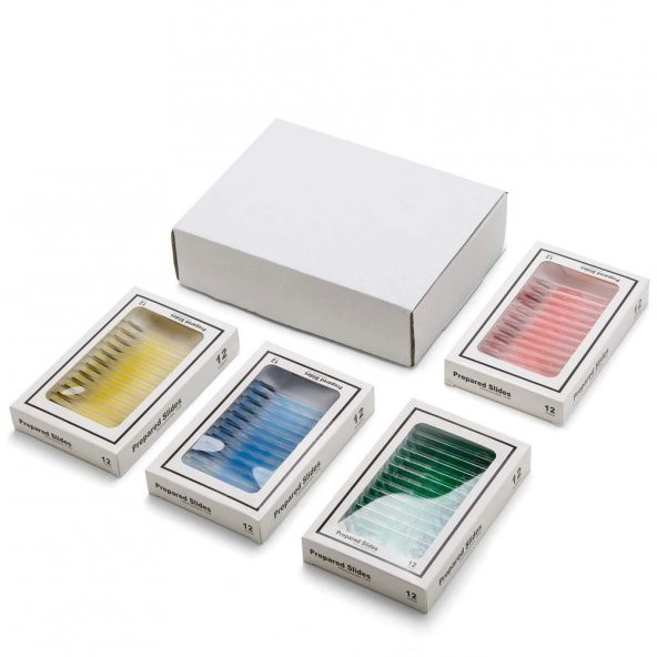 Hazır Mikroskop Preparat Slayt Seti- 48li - Resim 3