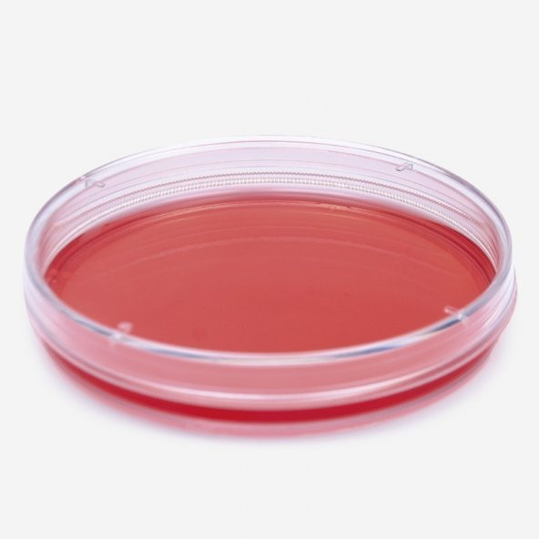 Fıratmed Petri Kabı Kutusu 90 mm - Dayanıklı Plastik -  10 Adetlik Set - 2