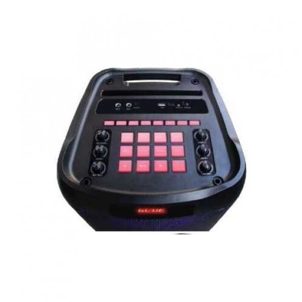 Leader LP-8100 8 Incx2 Rgb Taşınabilir Ses Sistemi - 5