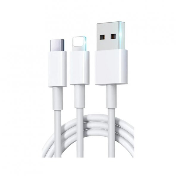 Winex 2in1 5A 120W UsbA to Type-C ve Lightning Hızlı Data ve Şarj Kablosu 120cm
