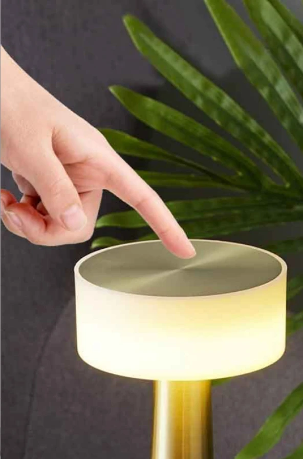 CATA CT 8436 Denver Şarjli Masa Lambası 3 Renk - 2