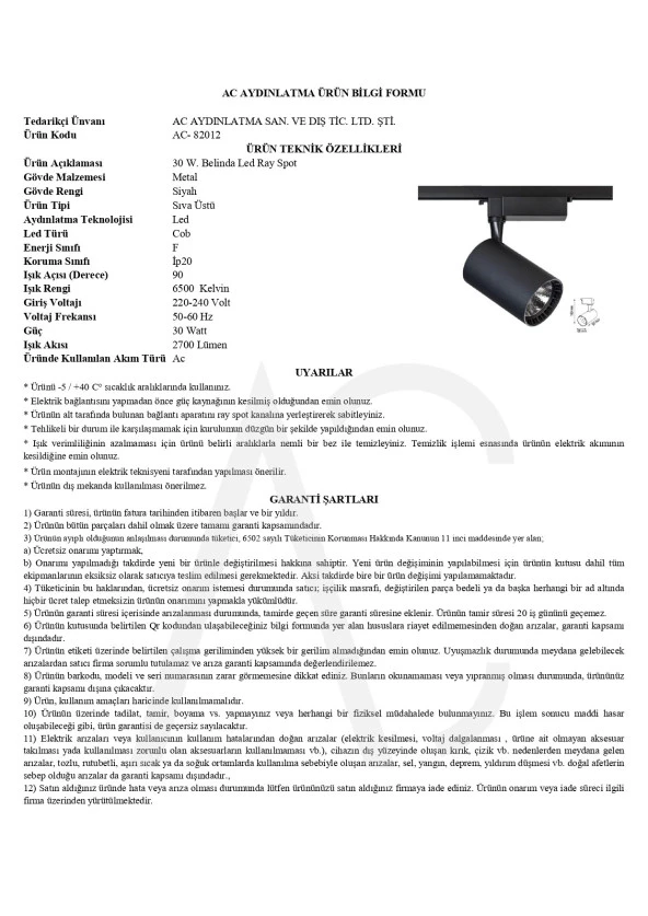 30W Siyah Ray Spot Belinda Beyaz Işık - 2