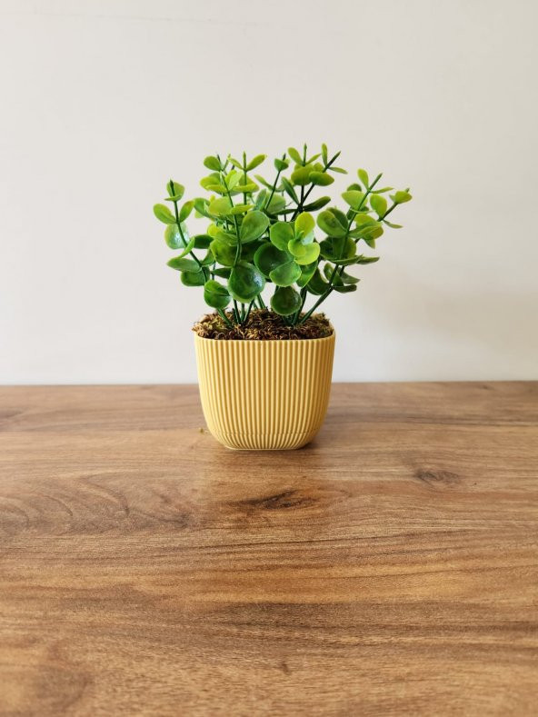Mini Saksıda Yapay Bitki Şimşir Gerçek Taş Yosunlu Toplam 16 Cm Dekoratif Banyo Mutfak Masa Çiçeği - 2
