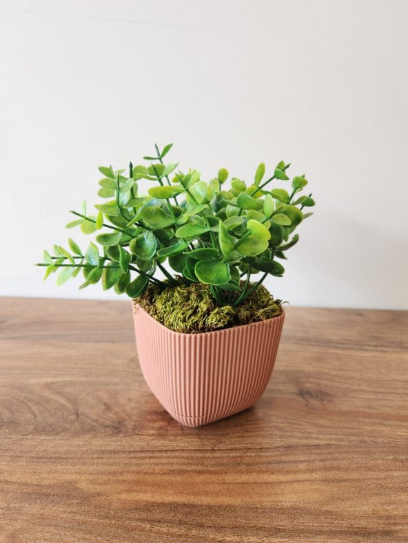 Mini Saksıda Yapay Bitki Şimşir Gerçek Taş Yosunlu Toplam 16 Cm Dekoratif Banyo Mutfak Masa Çiçeği - 2