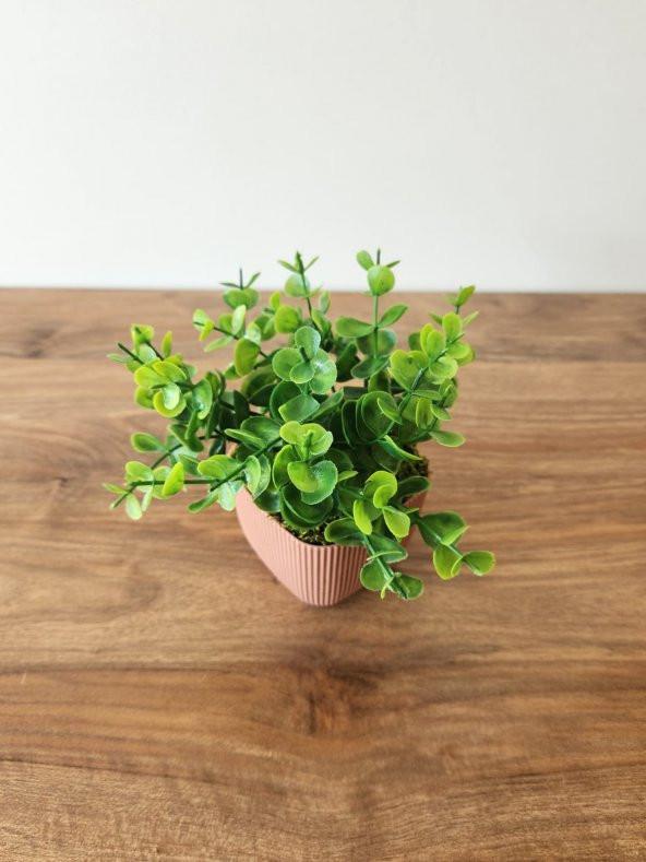 Mini Saksıda Yapay Bitki Şimşir Gerçek Taş Yosunlu Toplam 16 Cm Dekoratif Banyo Mutfak Masa Çiçeği - 3