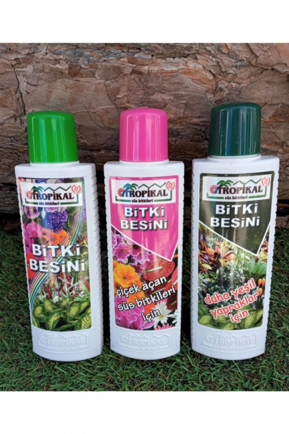 Bitki Besini 3lü Set Genel Bitki Besini Çiçek Açtıran Yeşil Yapraklı Bitki Vitamini Gübre