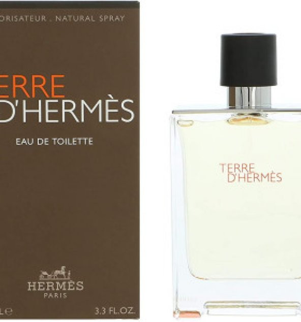 Hermes Terre D'Hermes EDT 100 ML Erkek Parfüm