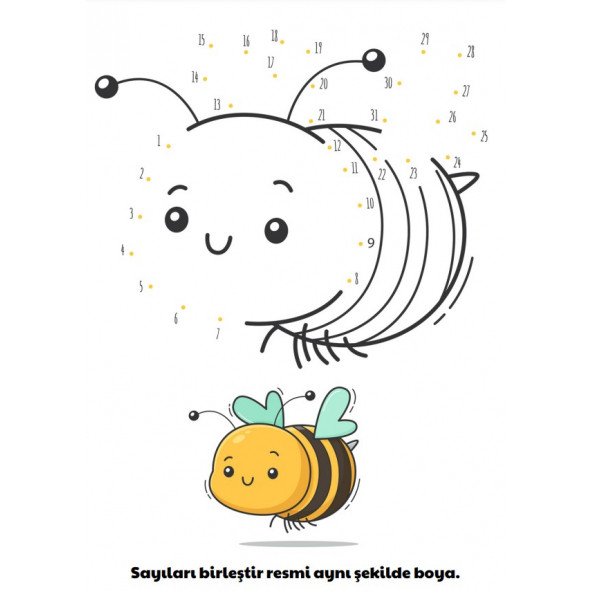 Okul Öncesi Dikkat Aktivite Eğitim Seti-7 Süper Kitap - 7