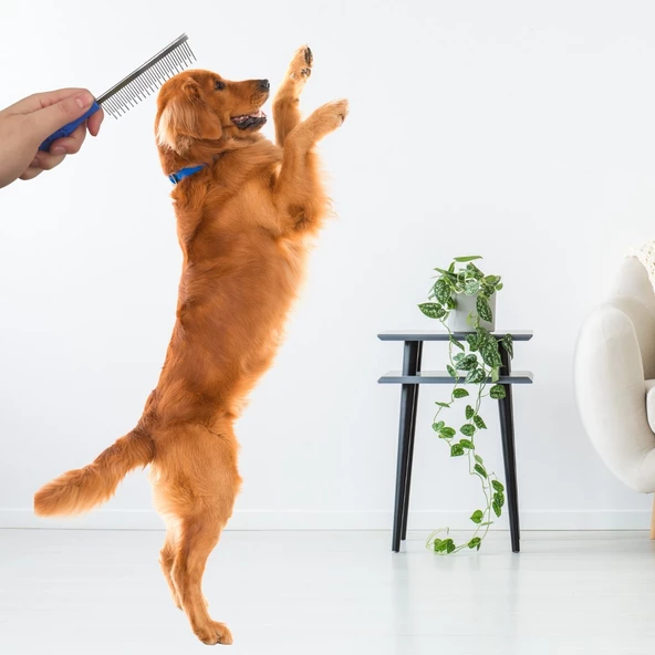 Kıtık Açıcı Metal Kedi Köpek Tarağı - 4