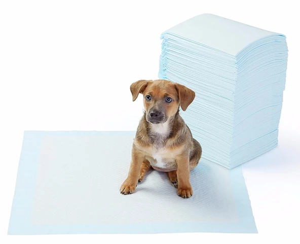 Yıkanabilir Köpek Çiş Pedi - 100 X 100 Cm 5li Paket - 3